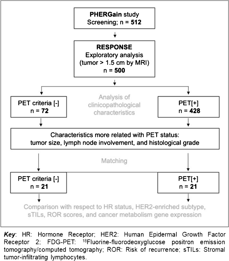 Clinicopathological and molecular predictors of [18F]FDG-PET disease detection in HER2-positive early breast cancer: RESPONSE, a substudy of the randomized PHERGain trial
