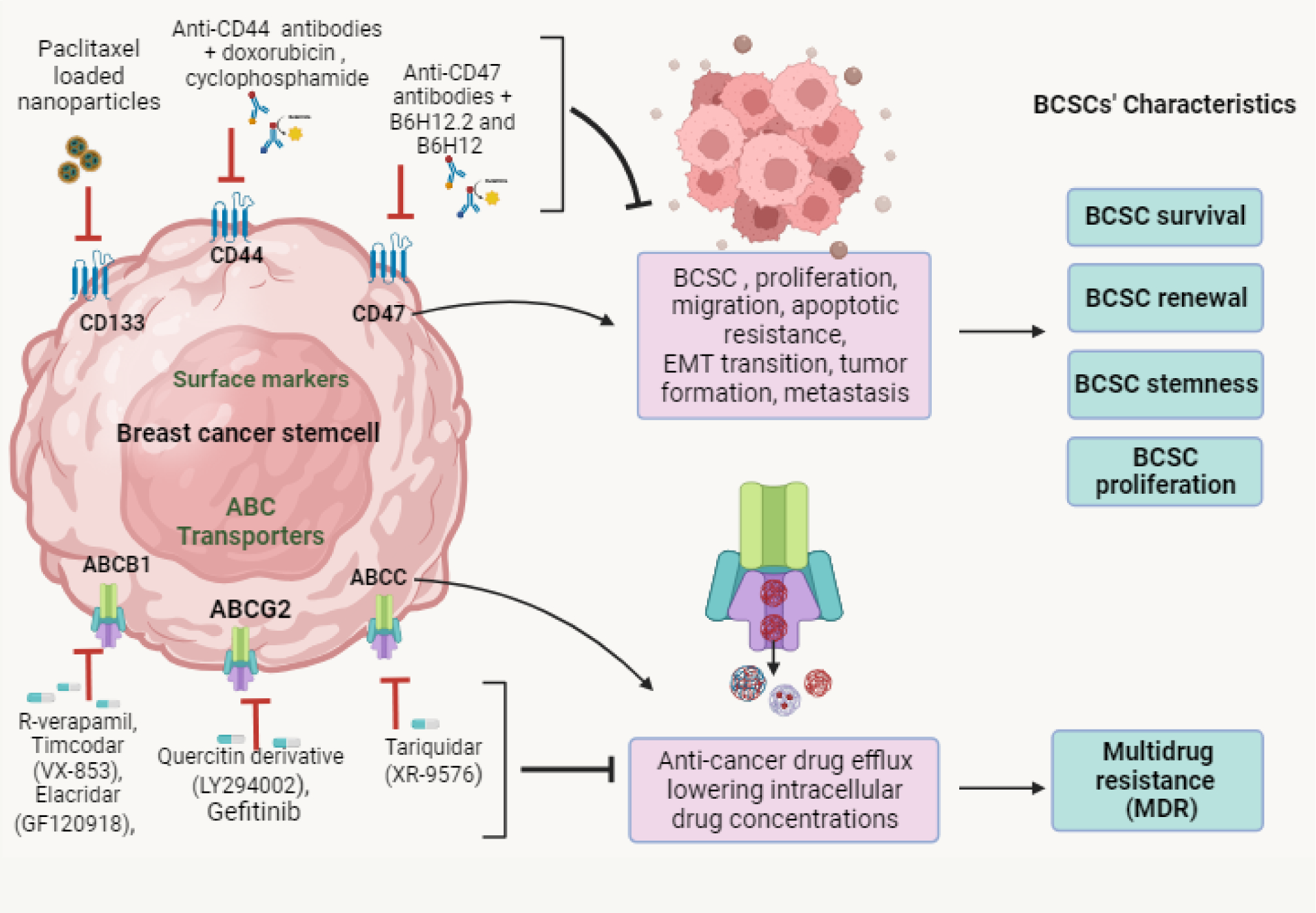 Recent developments in targeting breast cancer stem cells (BCSCs): a descriptive review of therapeutic strategies and emerging therapies