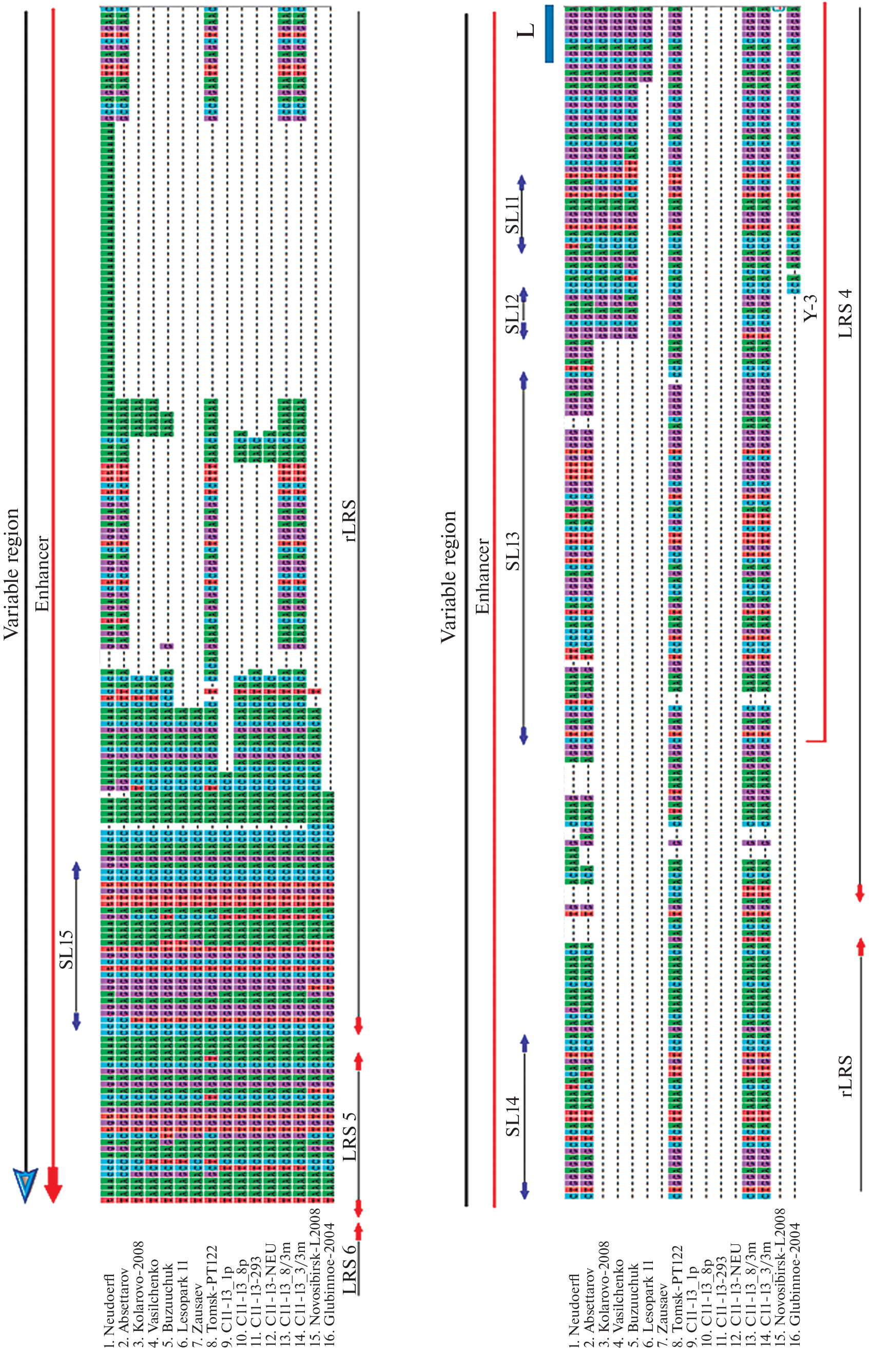 Changes in the Genome of the Tick-Borne Encephalitis Virus during Cultivation