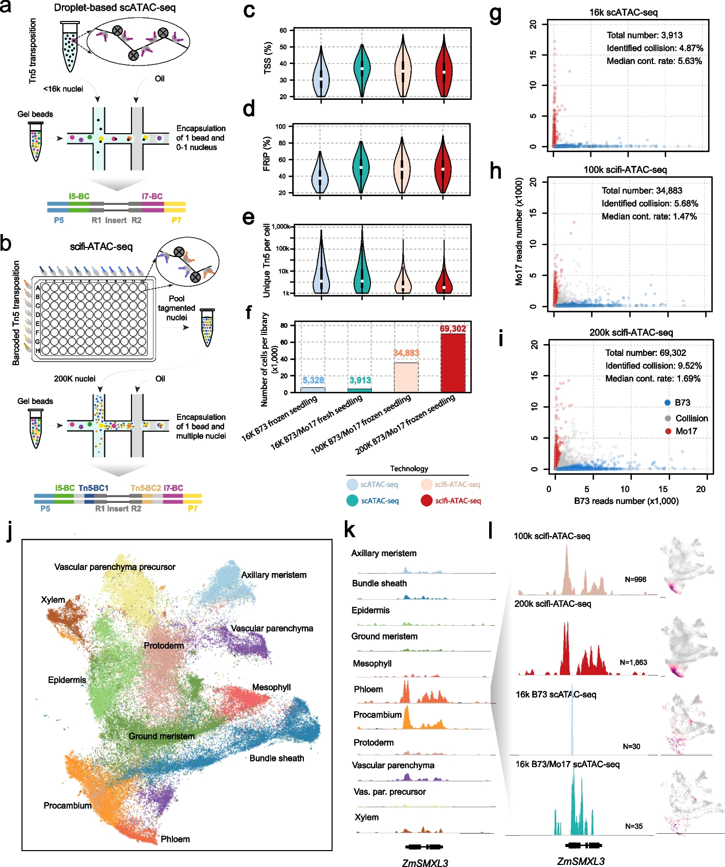 scifi-ATAC-seq: massive-scale single-cell chromatin accessibility sequencing using combinatorial fluidic indexing