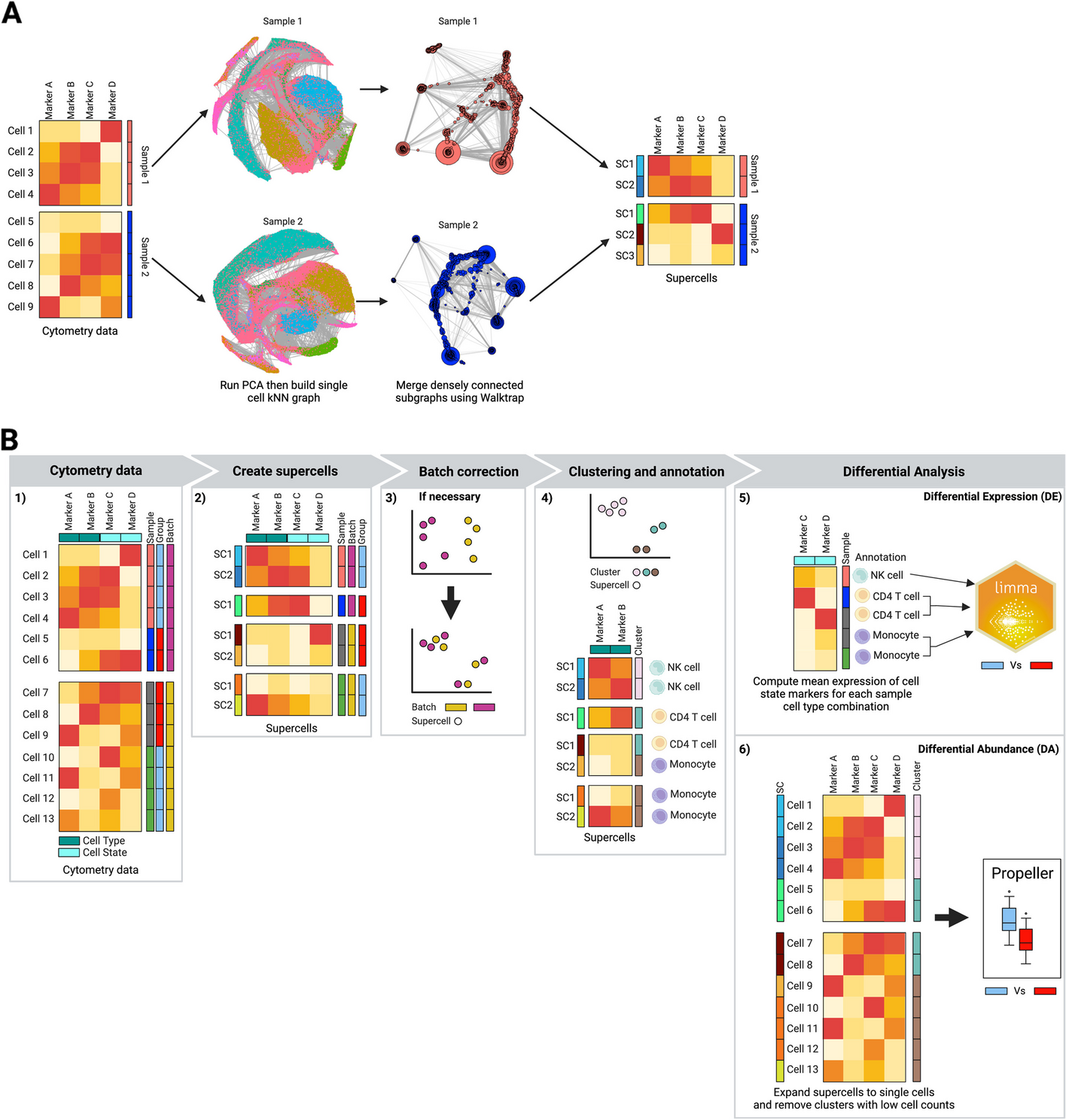 SuperCellCyto: enabling efficient analysis of large scale cytometry datasets