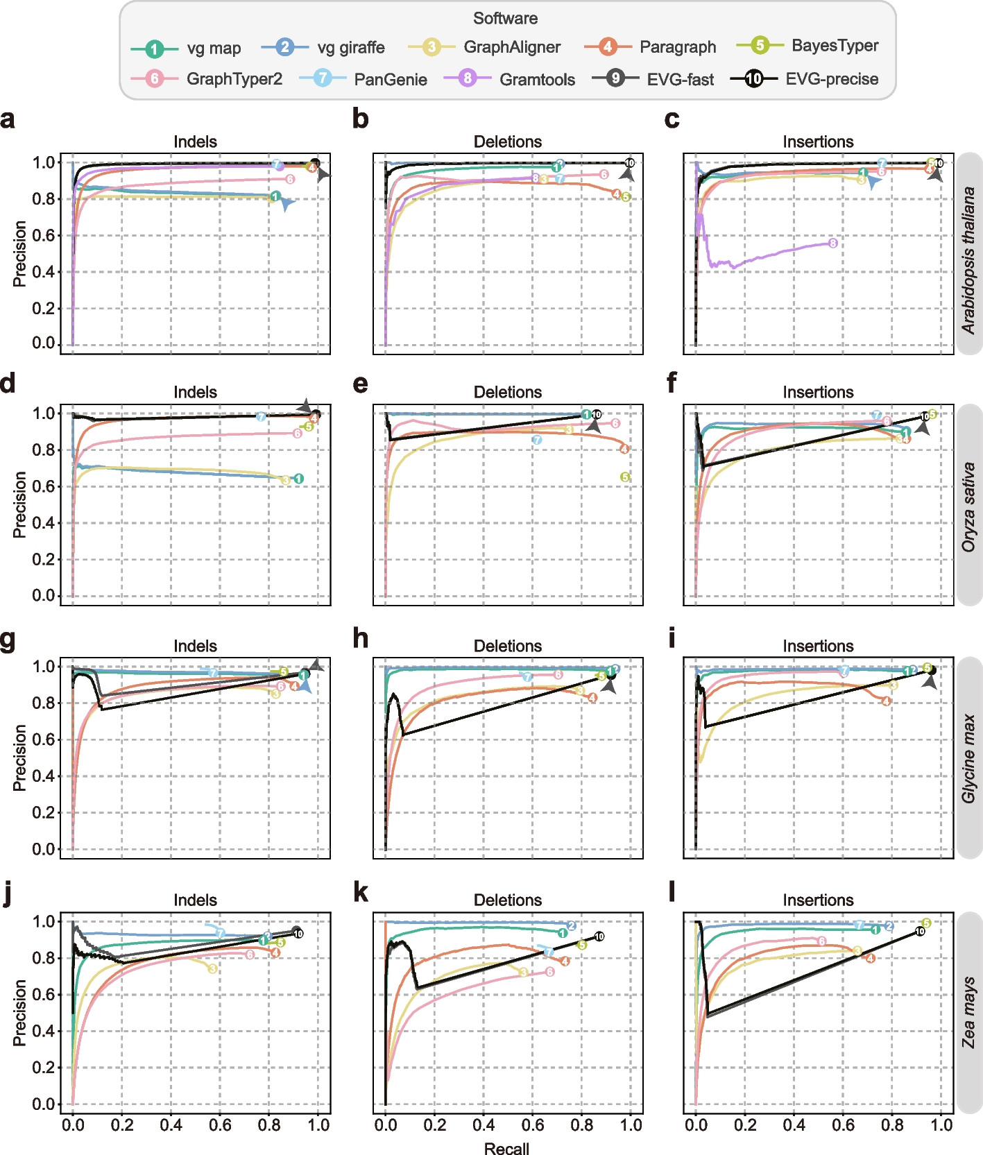 A comprehensive benchmark of graph-based genetic variant genotyping algorithms on plant genomes for creating an accurate ensemble pipeline