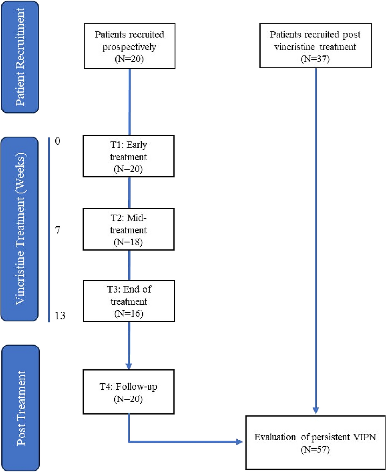 Characterising vincristine-induced peripheral neuropathy in adults: symptom development and long-term persistent outcomes