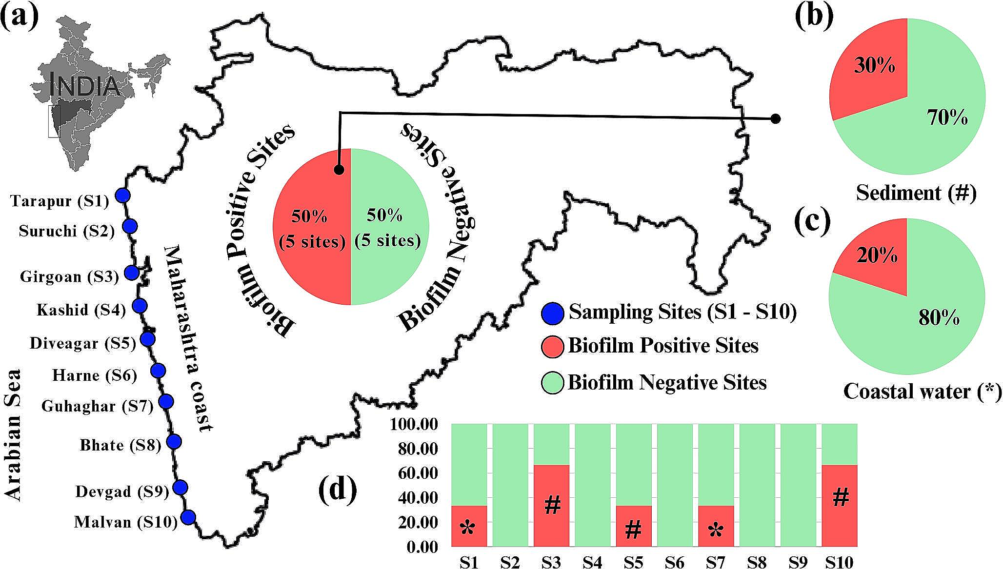 Occurrence and Distribution of Plastispheres in Coastal Sediments and Waters along the Maharashtra Coast, India