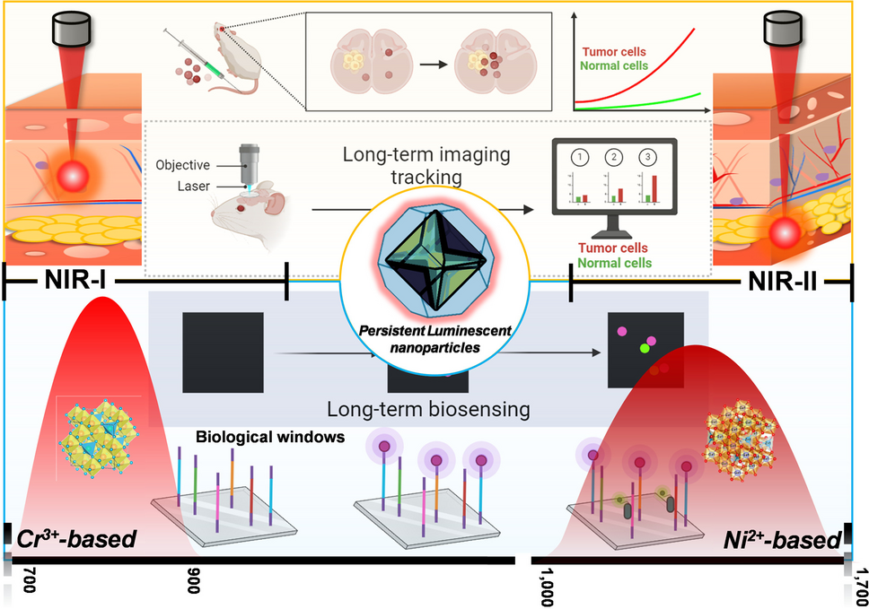 Recent advances in near-infrared I/II persistent luminescent nanoparticles for biosensing and bioimaging in cancer analysis
