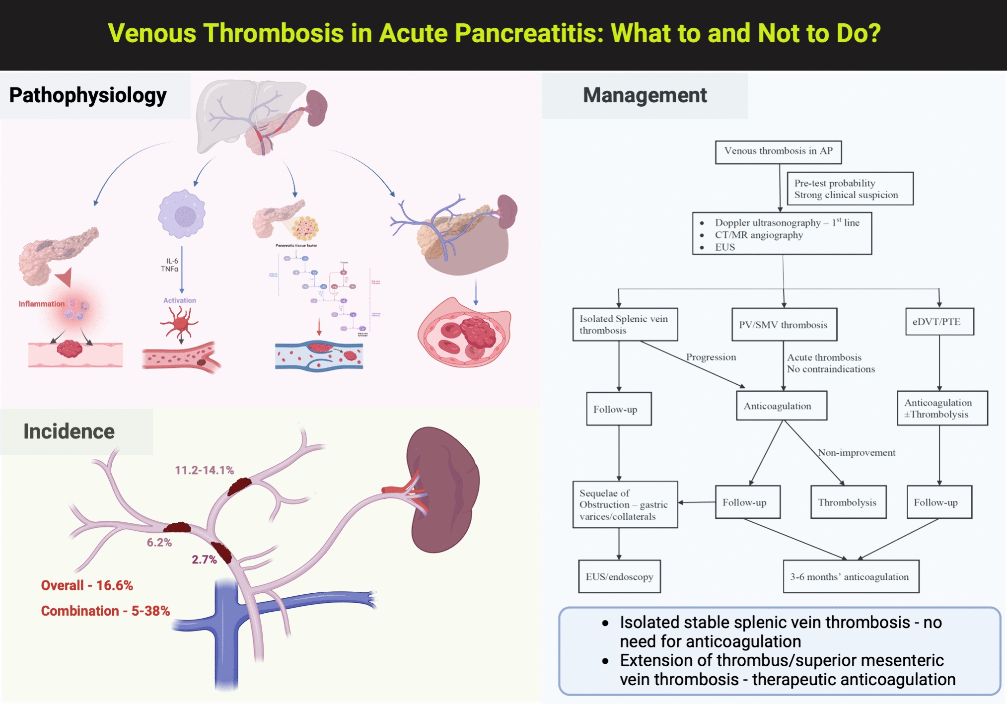 Venous Thrombosis in Acute Pancreatitis: What to and Not to Do?