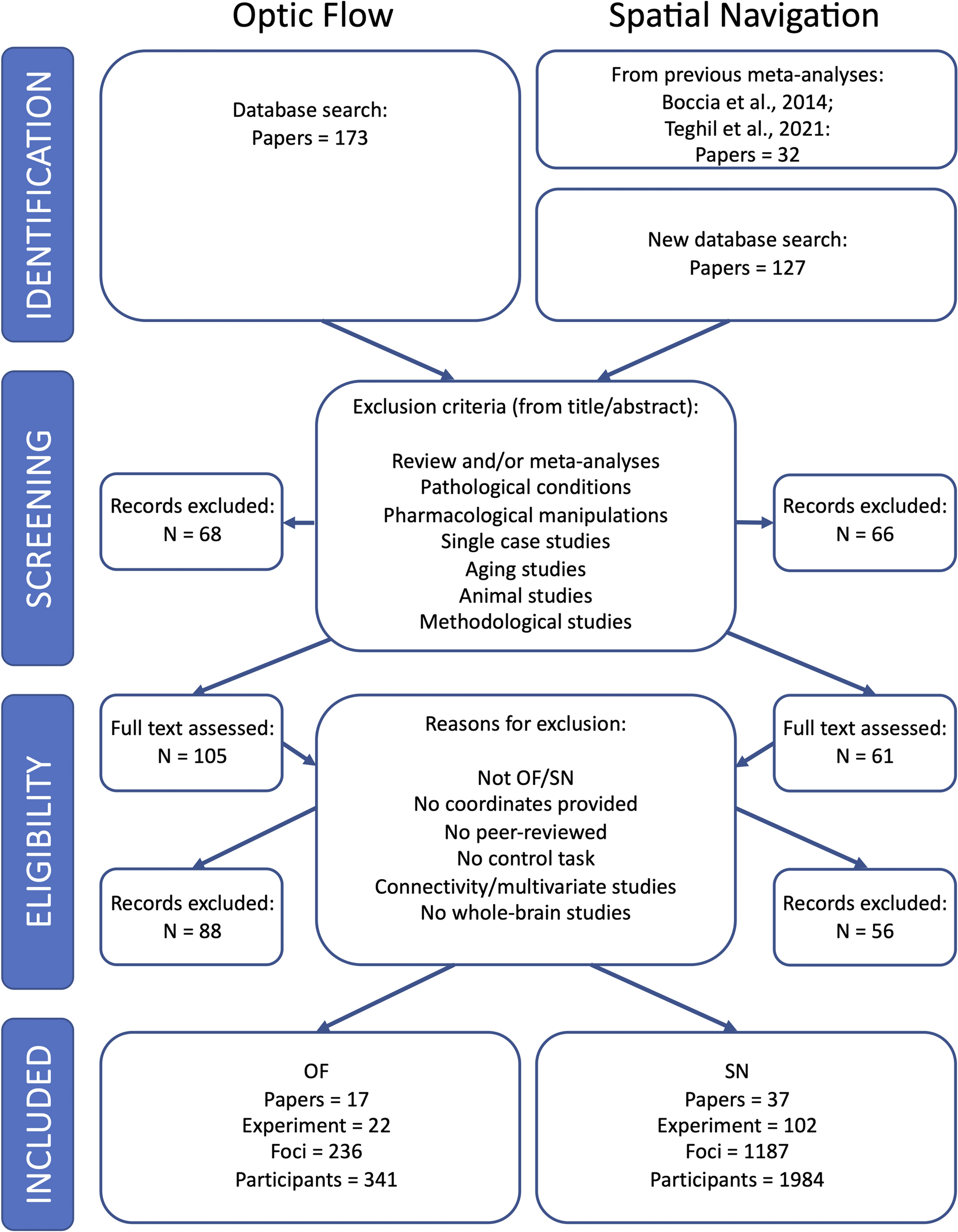 Common and specific activations supporting optic flow processing and navigation as revealed by a meta-analysis of neuroimaging studies