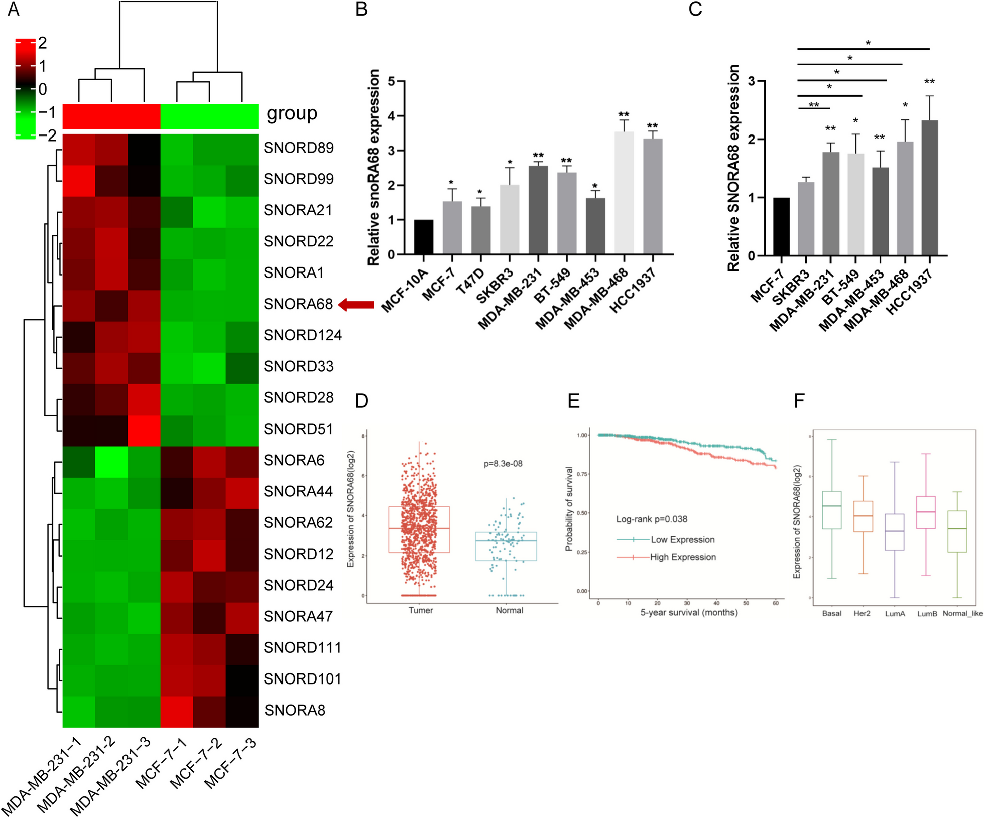 U2AF2-SNORA68 promotes triple-negative breast cancer stemness through the translocation of RPL23 from nucleoplasm to nucleolus and c-Myc expression