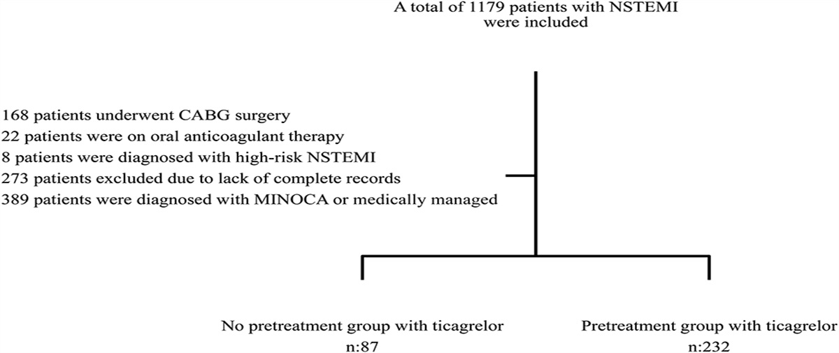 Impact of Preloading Strategy With Ticagrelor on Periprocedural Myocardial Injury in Patients With Non-ST Elevation Myocardial Infarction Undergoing Early Invasive Strategy