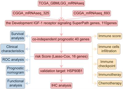Prognosis and therapeutic significance of IGF-1R-related signaling pathway gene signature in glioma