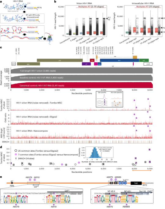 Single-molecule epitranscriptomic analysis of full-length HIV-1 RNAs reveals functional roles of site-specific m6As