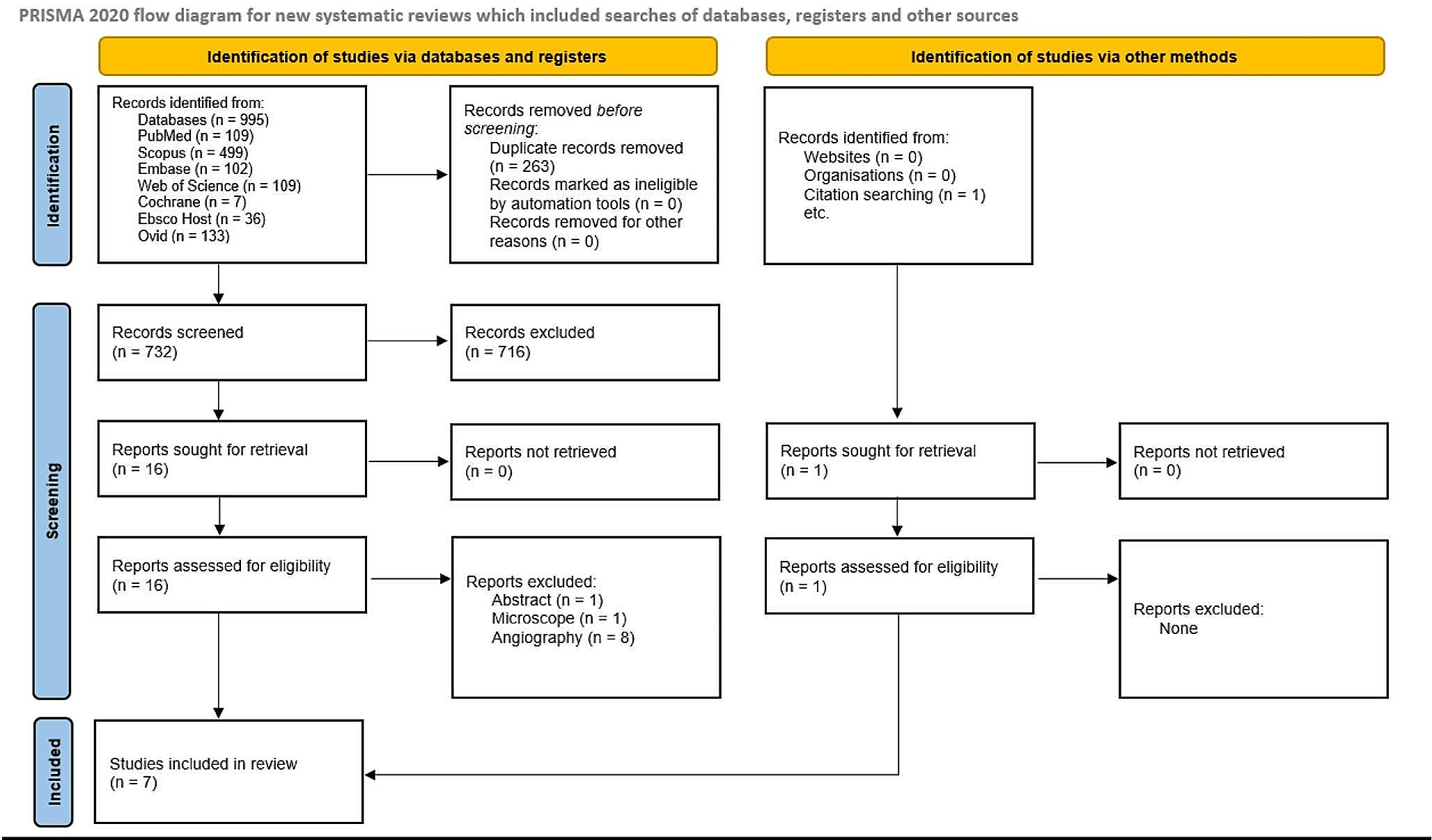 Bridging the gap: robotic applications in cerebral aneurysms neurointerventions - a systematic review