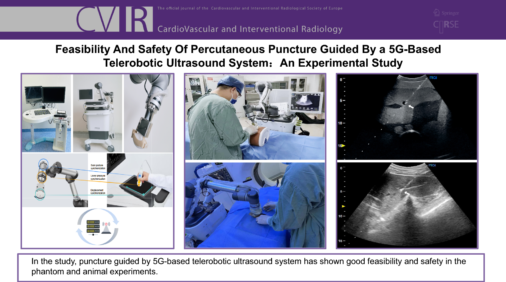 Feasibility and Safety of Percutaneous Puncture Guided by a 5G-Based Telerobotic Ultrasound System: An Experimental Study