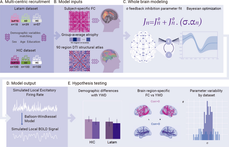 Biophysical models applied to dementia patients reveal links between geographical origin, gender, disease duration, and loss of neural inhibition