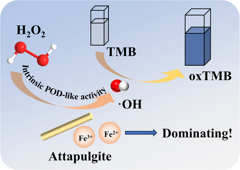 The mechanism of intrinsic peroxidase (POD)-like activity of attapulgite