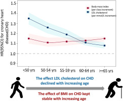 Differential age-specific associations of LDL cholesterol and body mass index with coronary heart disease