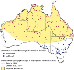 The geographic limits and life history of the tropical brown dog tick, Rhipicephalus linnaei (Audouin, 1826), in Australia with notes on the spread of Ehrlichia canis