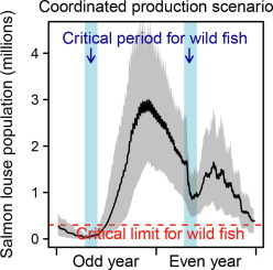 Effects of regional coordination of salmon louse control in reducing negative impacts of salmonid aquaculture on wild salmonids
