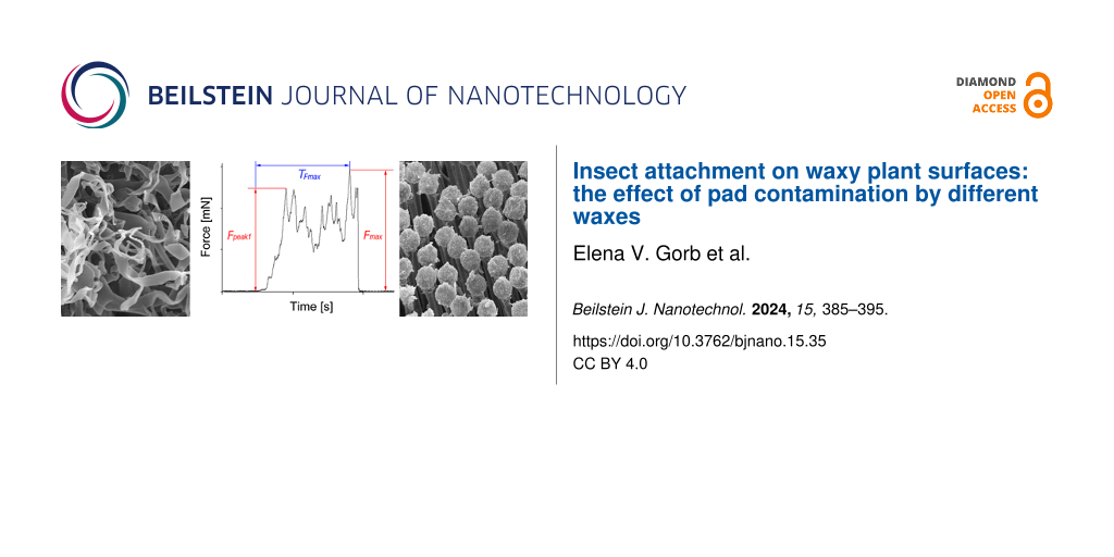 Insect attachment on waxy plant surfaces: the effect of pad contamination by different waxes