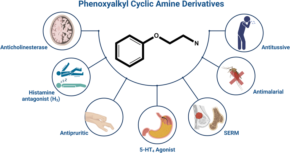 Phenoxyalkyl cyclic and acyclic amine derivatives: what do they teach us about scaffold-based drug design?