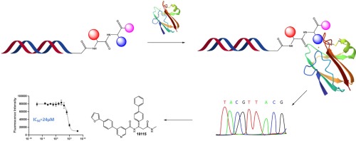 Discovery of two non-UDP-mimic inhibitors of O-GlcNAc transferase by screening a DNA-encoded library