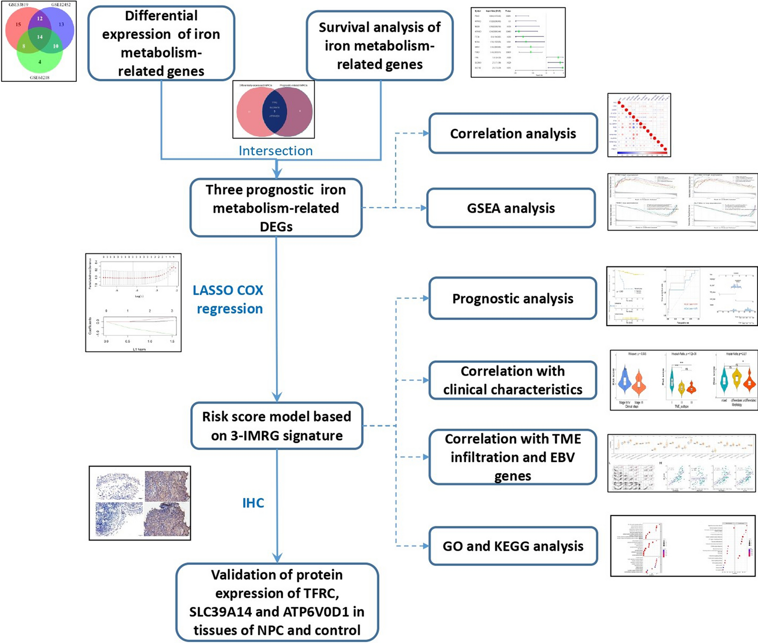 Integrating iron metabolism-related gene signature to evaluate prognosis and immune infiltration in nasopharyngeal carcinoma