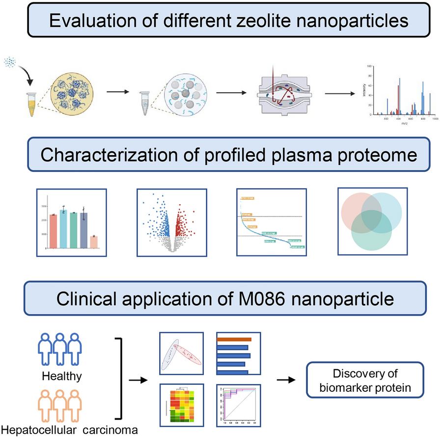 The development of a novel zeolite-based assay for efficient and deep plasma proteomic profiling