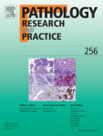 Diagnostic performance of immunohistochemistry markers for malignant pleural mesothelioma diagnosis and subtypes. A systematic review and meta-analysis