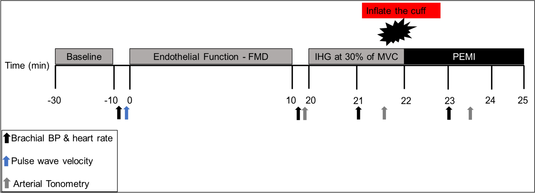 Endothelial dysfunction influences augmented aortic hemodynamic responses to metaboreflex activation in postmenopausal women