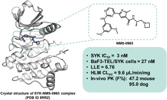 Discovery and optimization of 4-pyrazolyl-2-aminopyrimidine derivatives as potent spleen tyrosine kinase (SYK) inhibitors