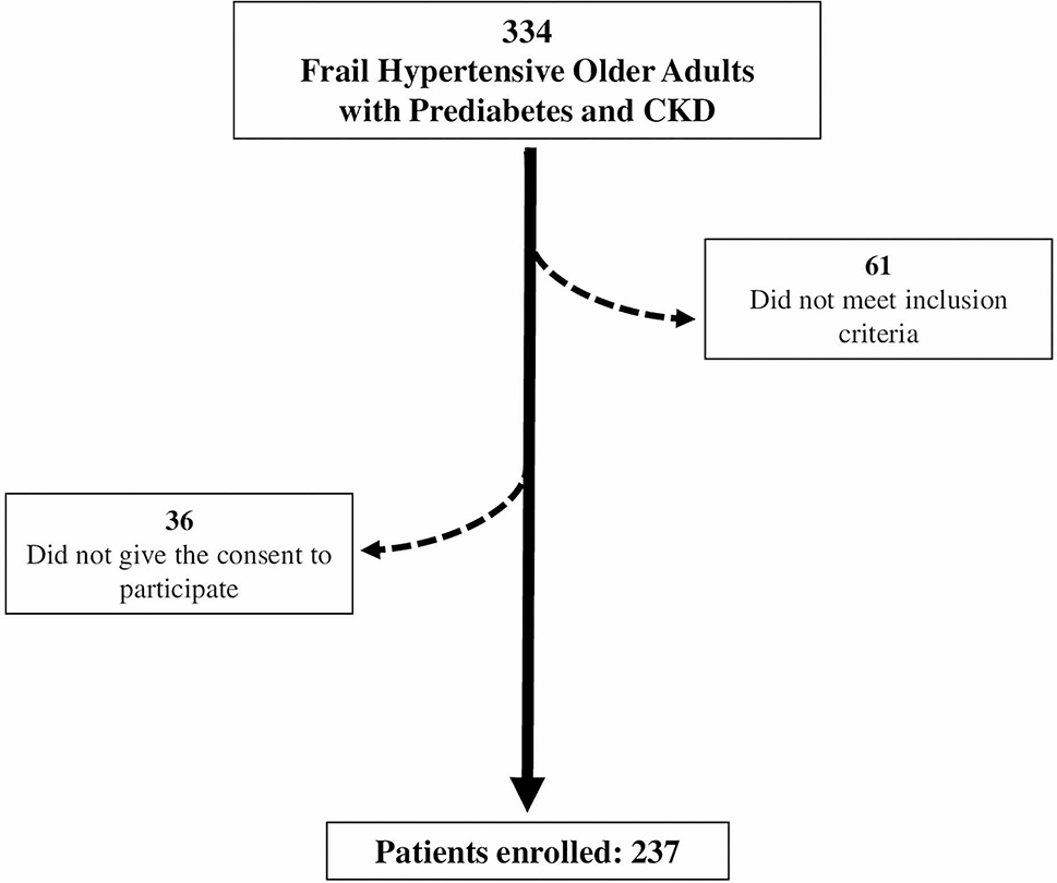 Frail hypertensive older adults with prediabetes and chronic kidney disease: insights on organ damage and cognitive performance - preliminary results from the CARYATID study
