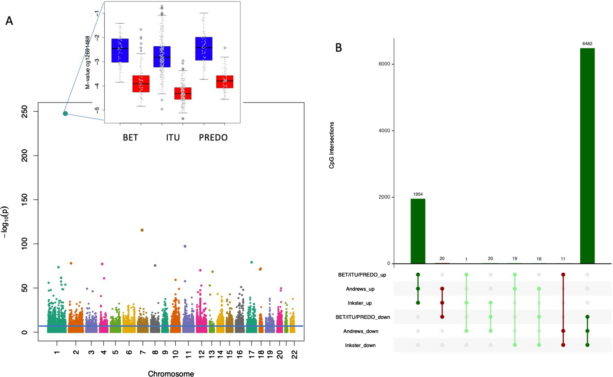 Sex differences in DNA methylation across gestation: a large scale, cross-cohort, multi-tissue analysis