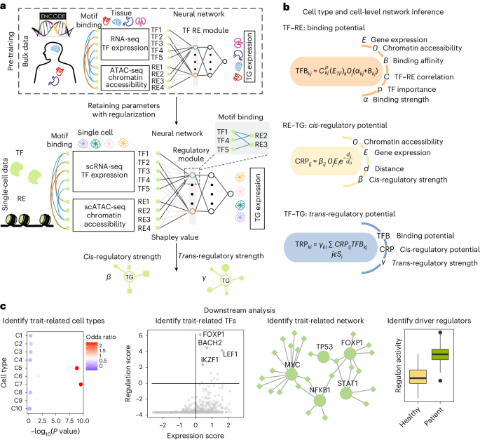 Inferring gene regulatory networks from single-cell multiome data using atlas-scale external data