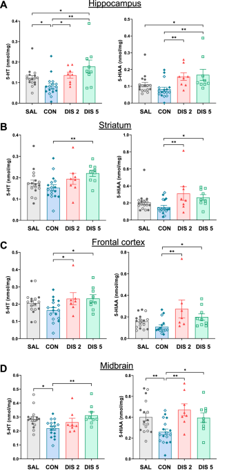 Rebound activation of 5-HT neurons following SSRI discontinuation