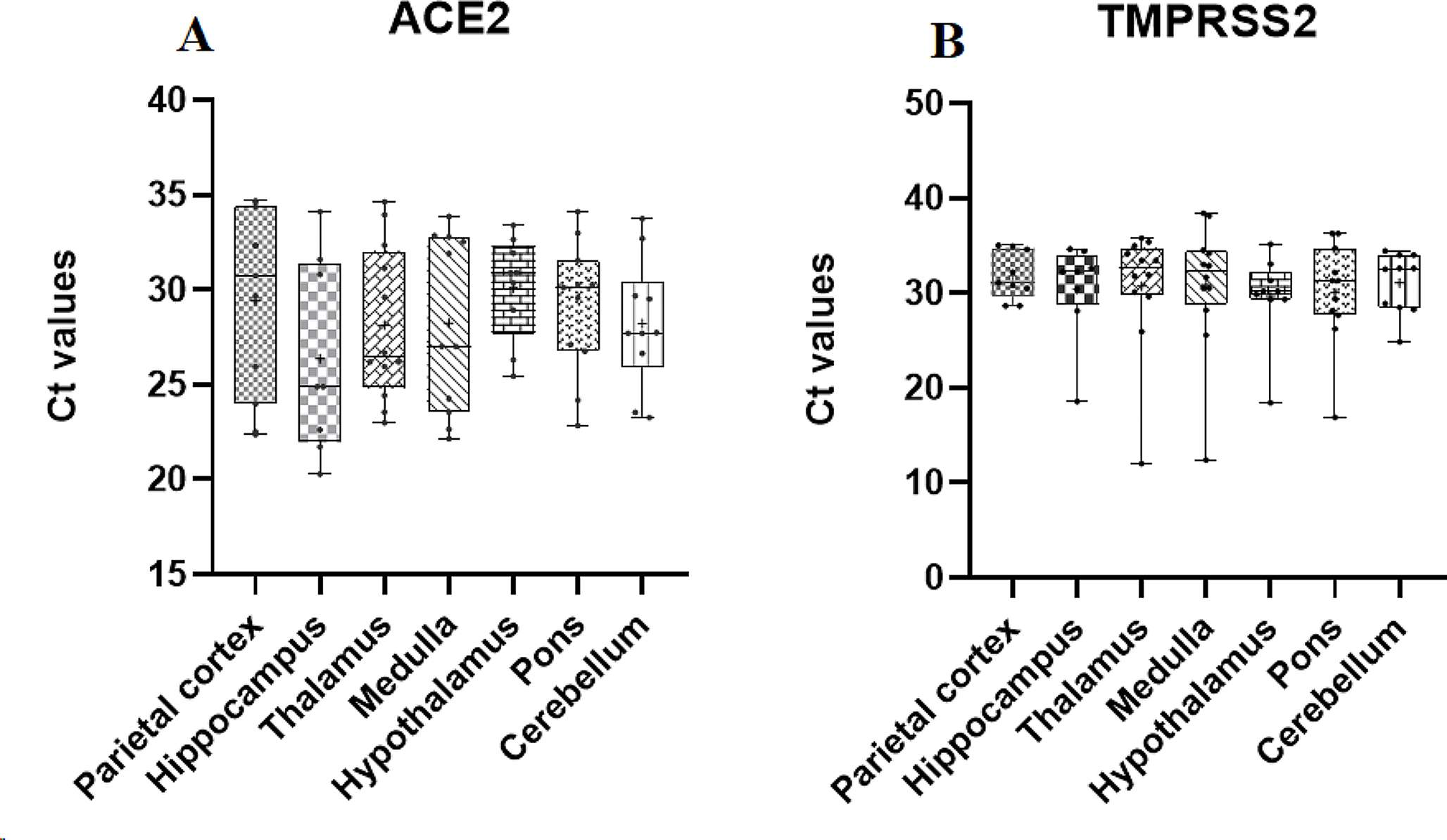 Mapping ACE2 and TMPRSS2 co-expression in human brain tissue: implications for SARS-CoV-2 neurological manifestations