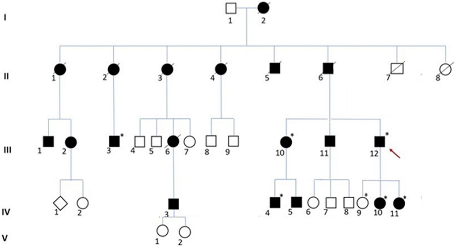 Expanding SPG18 clinical spectrum: autosomal dominant mutation causes complicated hereditary spastic paraplegia in a large family