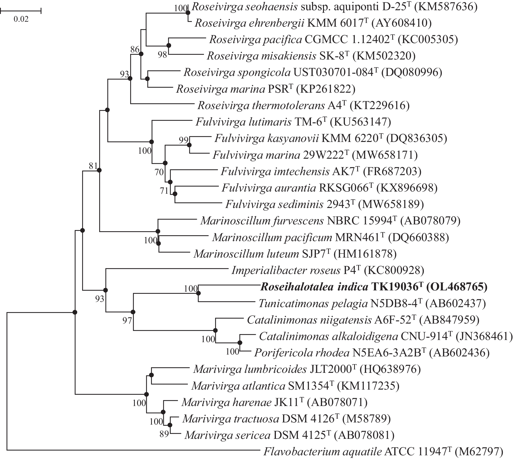 Roseihalotalea indica gen. nov., sp. nov., a halophilic Bacteroidetes from mesopelagic Southwest Indian Ocean with higher carbohydrate metabolic potential