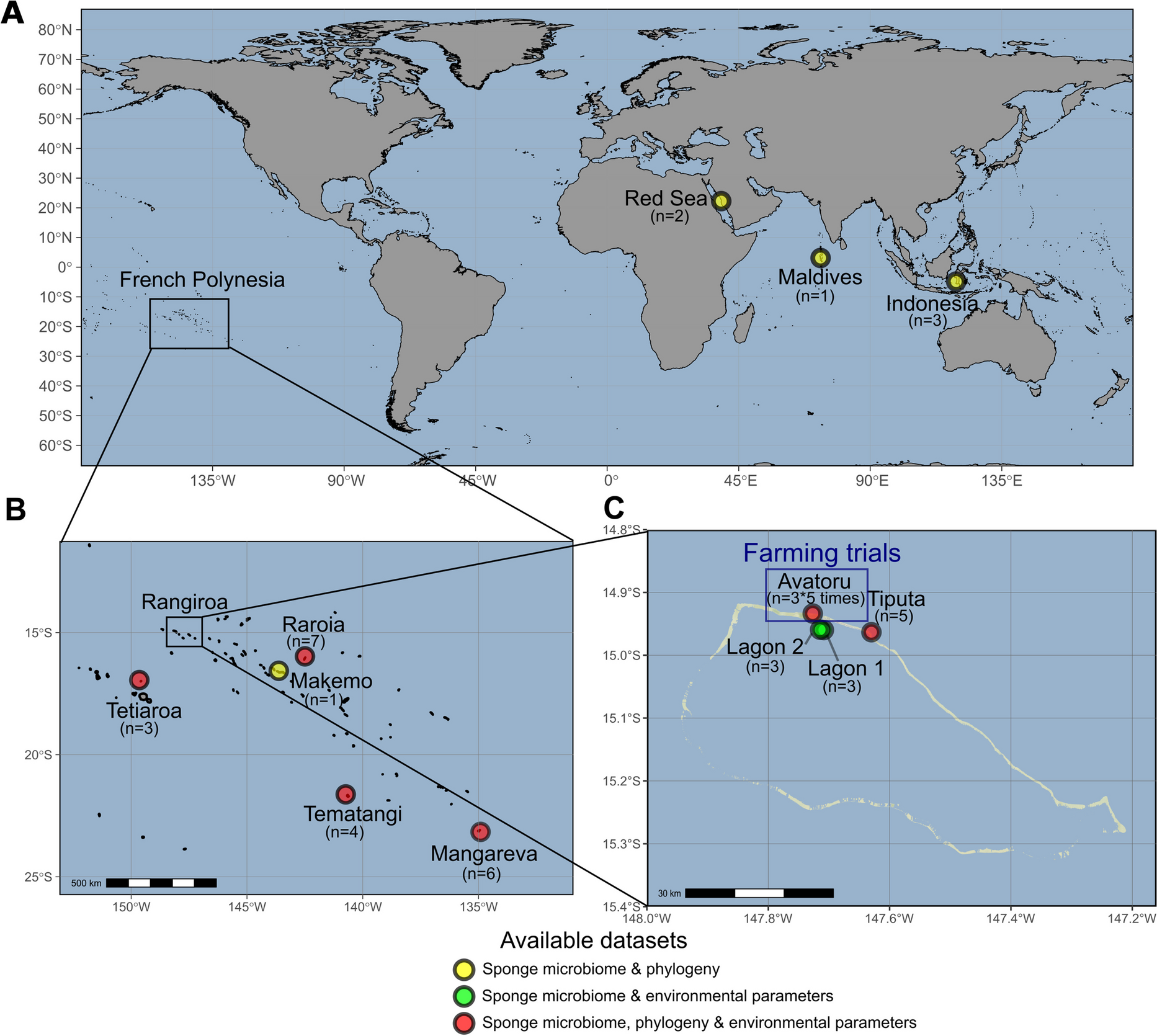 Prokaryotic communities of the French Polynesian sponge Dactylospongia metachromia display a site-specific and stable diversity during an aquaculture trial
