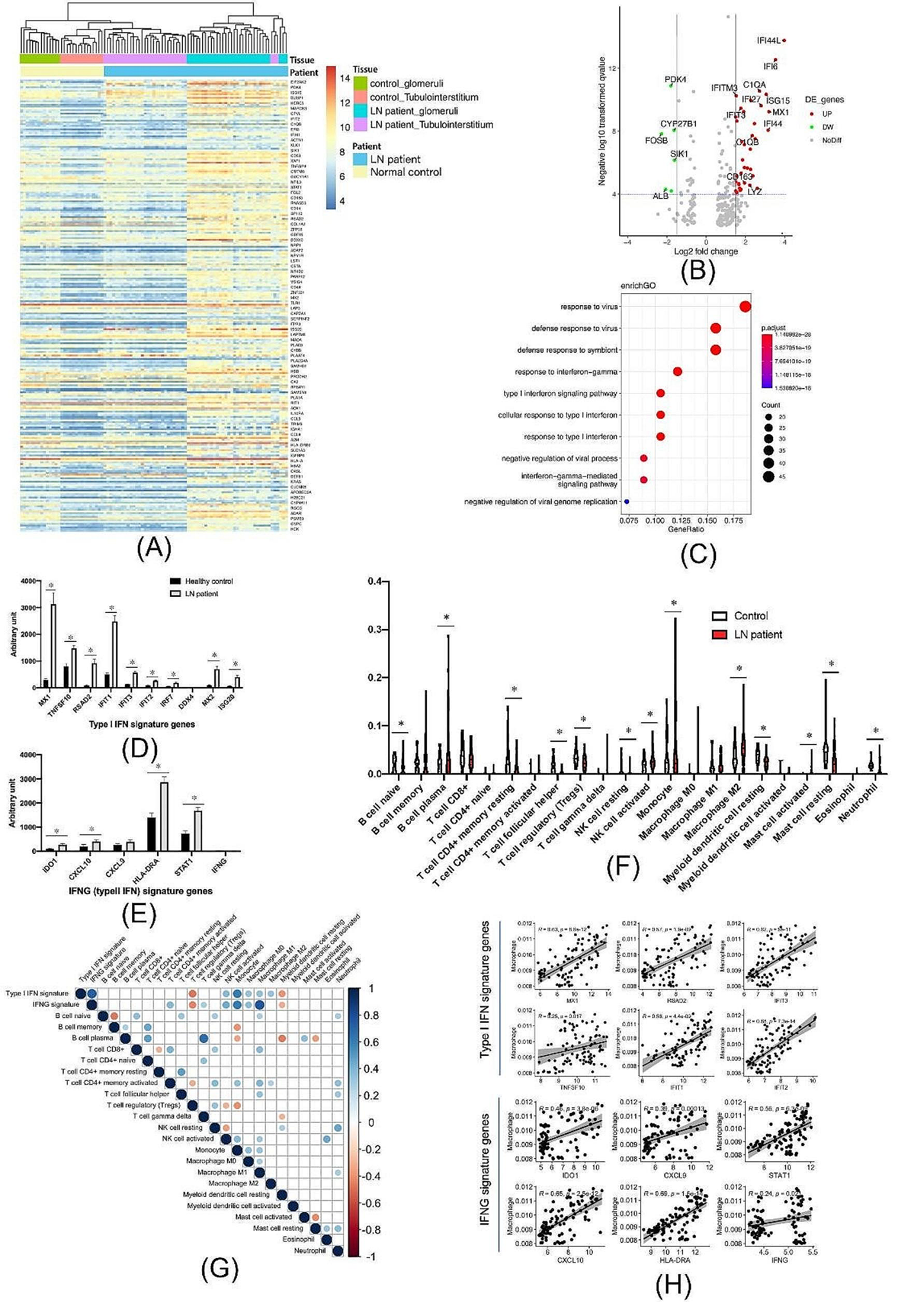 Integrative analysis of single-cell and bulk transcriptome data reveal the significant role of macrophages in lupus nephritis
