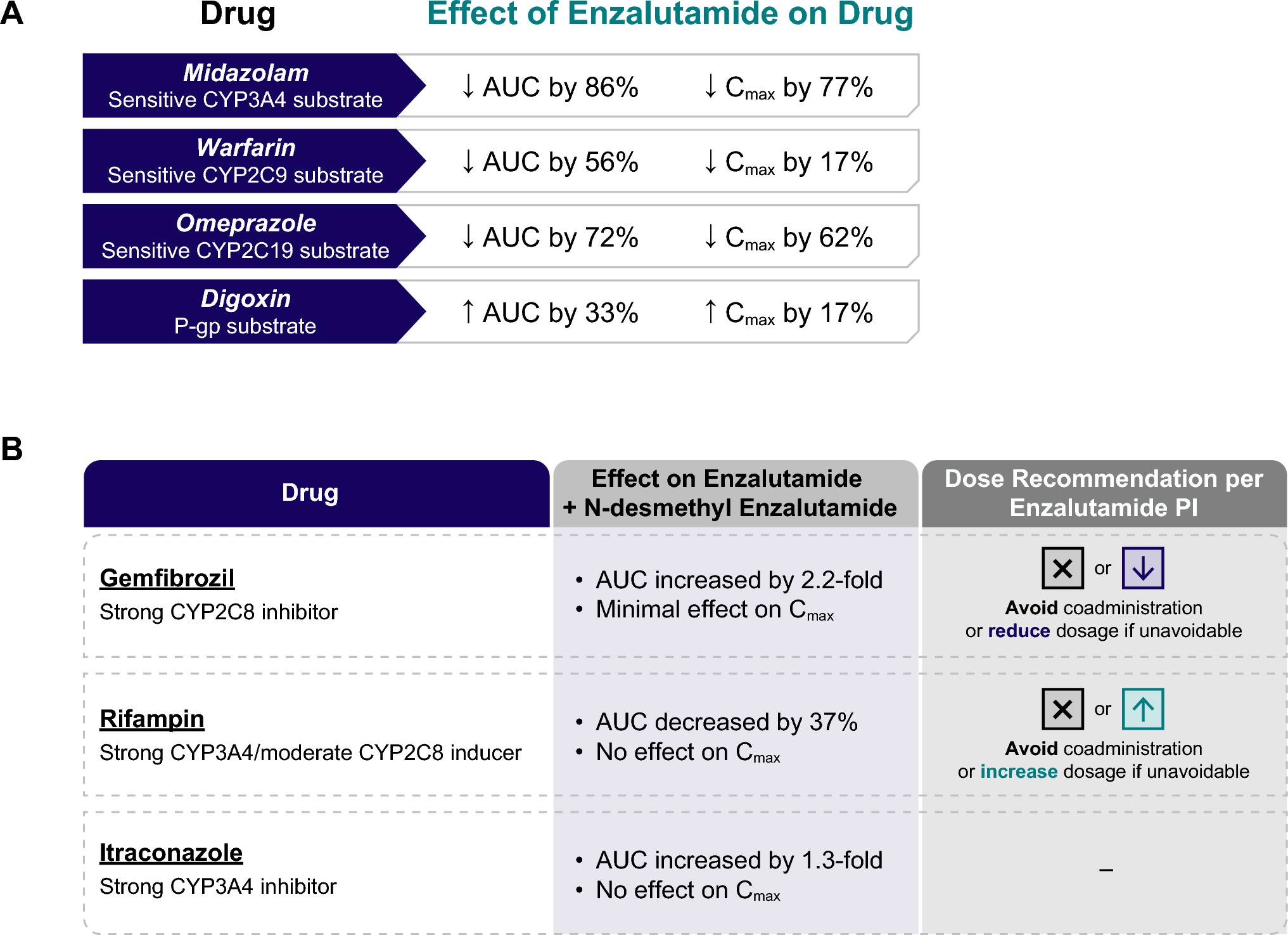 Enzalutamide: Understanding and Managing Drug Interactions to Improve Patient Safety and Drug Efficacy