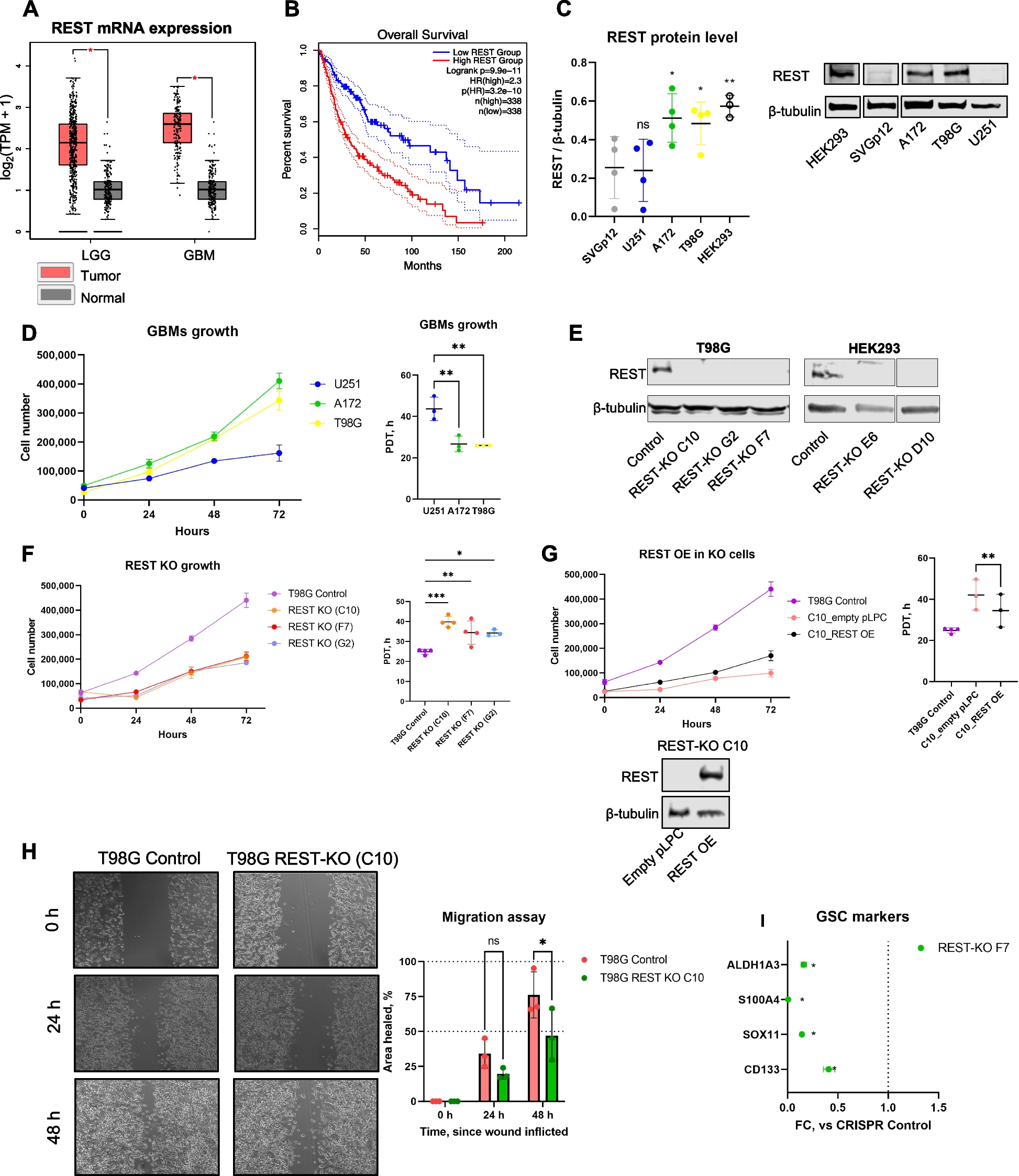 Targeting of REST with rationally-designed small molecule compounds exhibits synergetic therapeutic potential in human glioblastoma cells