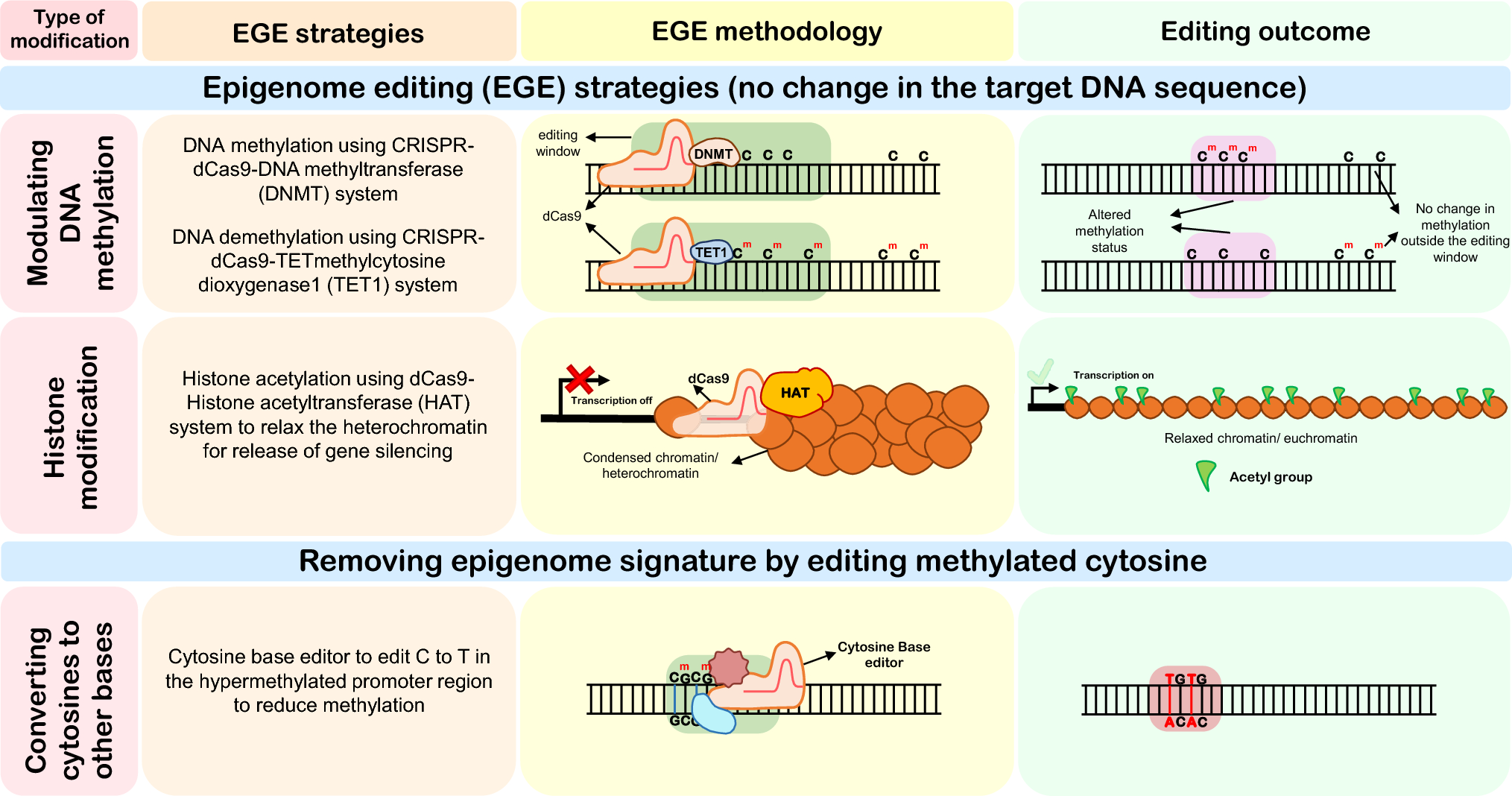 Epigenome editing strategies for plants: a mini review