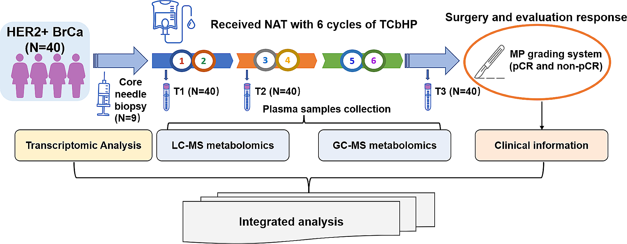 Metabolomics assisted by transcriptomics analysis to reveal metabolic characteristics and potential biomarkers associated with treatment response of neoadjuvant therapy with TCbHP regimen in HER2 + breast cancer