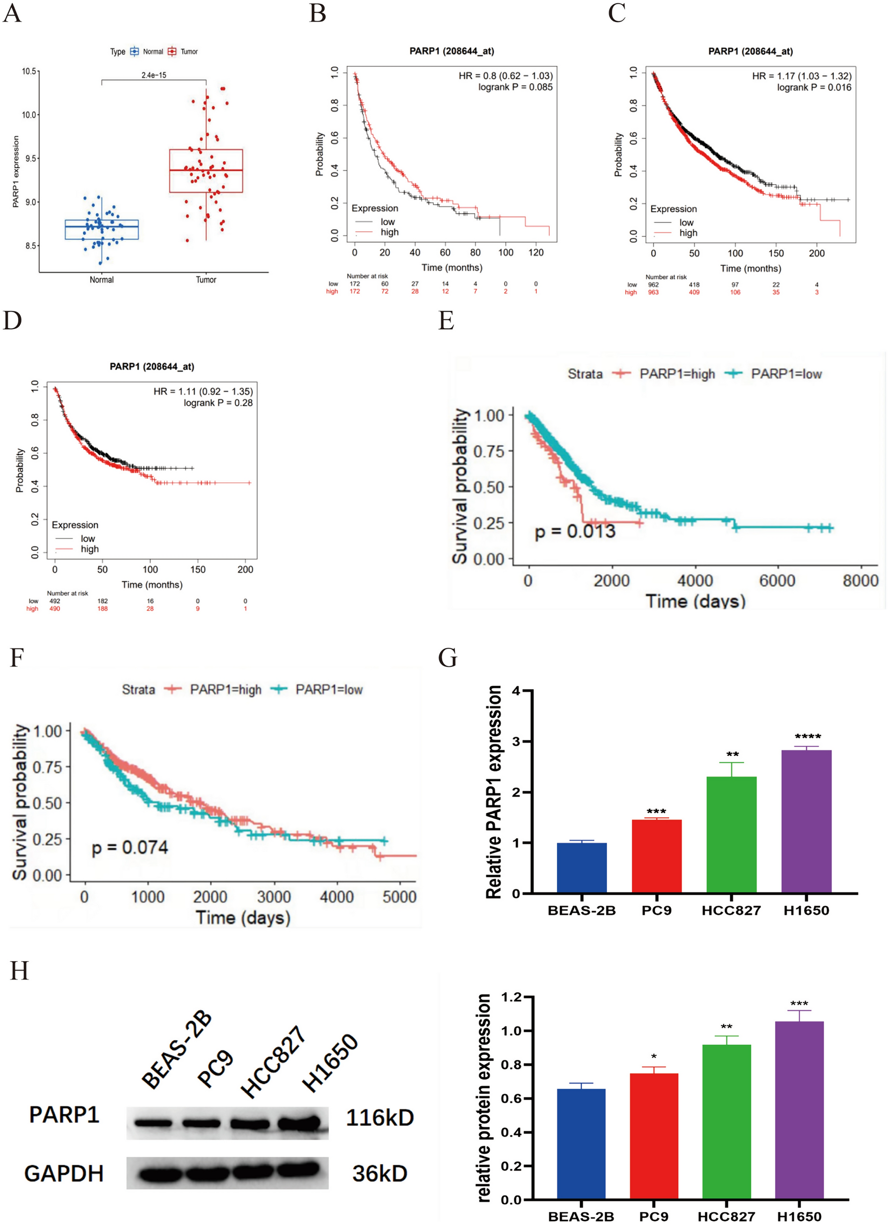 PARP1 promotes EGFR-TKI drug-resistance via PI3K/AKT pathway in non-small-cell lung cancer