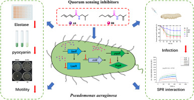 Discovery of novel amide derivatives as potent quorum sensing inhibitors of Pseudomonas aeruginosa