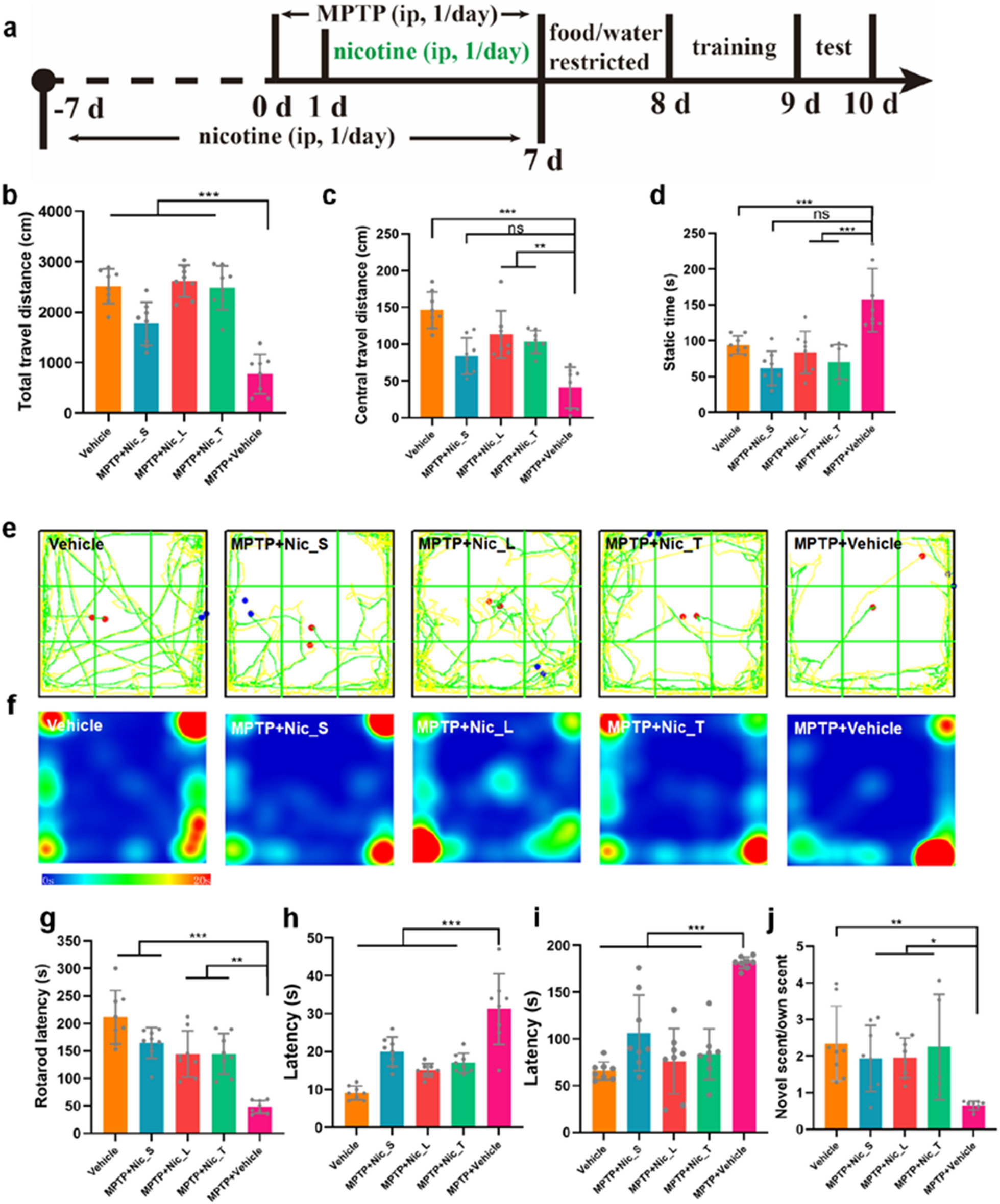 Nicotine restores olfactory function by activation of prok2R/Akt/FoxO3a axis in Parkinson’s disease