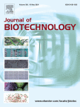 Purification, functional characterization and enhanced production of serratiopeptidase from Serratia marcescens MES-4: An endophyte isolated from Morus rubra