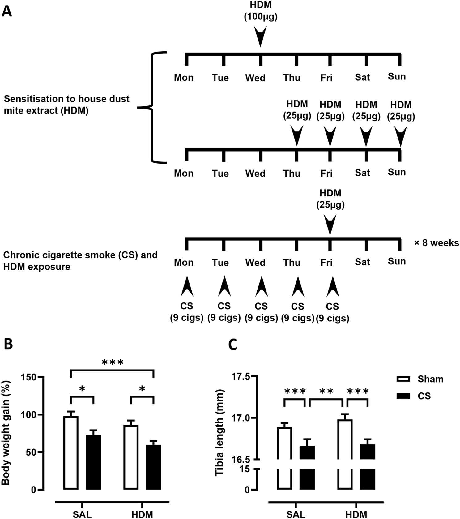 Early-life house dust mite aeroallergen exposure augments cigarette smoke-induced myeloid inflammation and emphysema in mice