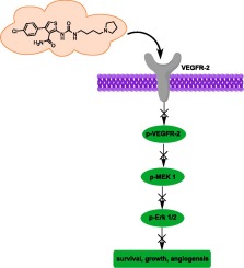 Discovery of novel thiophene-3-carboxamide derivatives as potential VEGFR-2 inhibitors with anti-angiogenic properties
