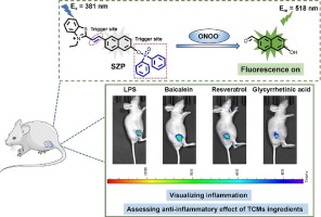 Peroxynitrite-activated fluorescent probe with two reaction triggers for pathological diagnosis and therapeutic evaluation of inflammation